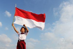 Vignette pour l'Indonésie