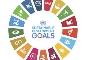 SDG-Goals