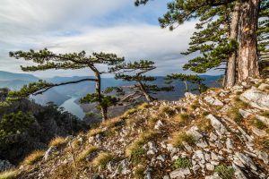 View from Tara mountain in Serbia, Europe. Drina river in the distance.