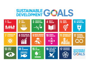 E_2018_SDG_Poster_without_UN_emblem_Letter US