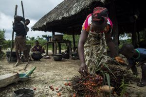 Miniatura de alimentos de este suelo: derechos a la tierra en Liberia