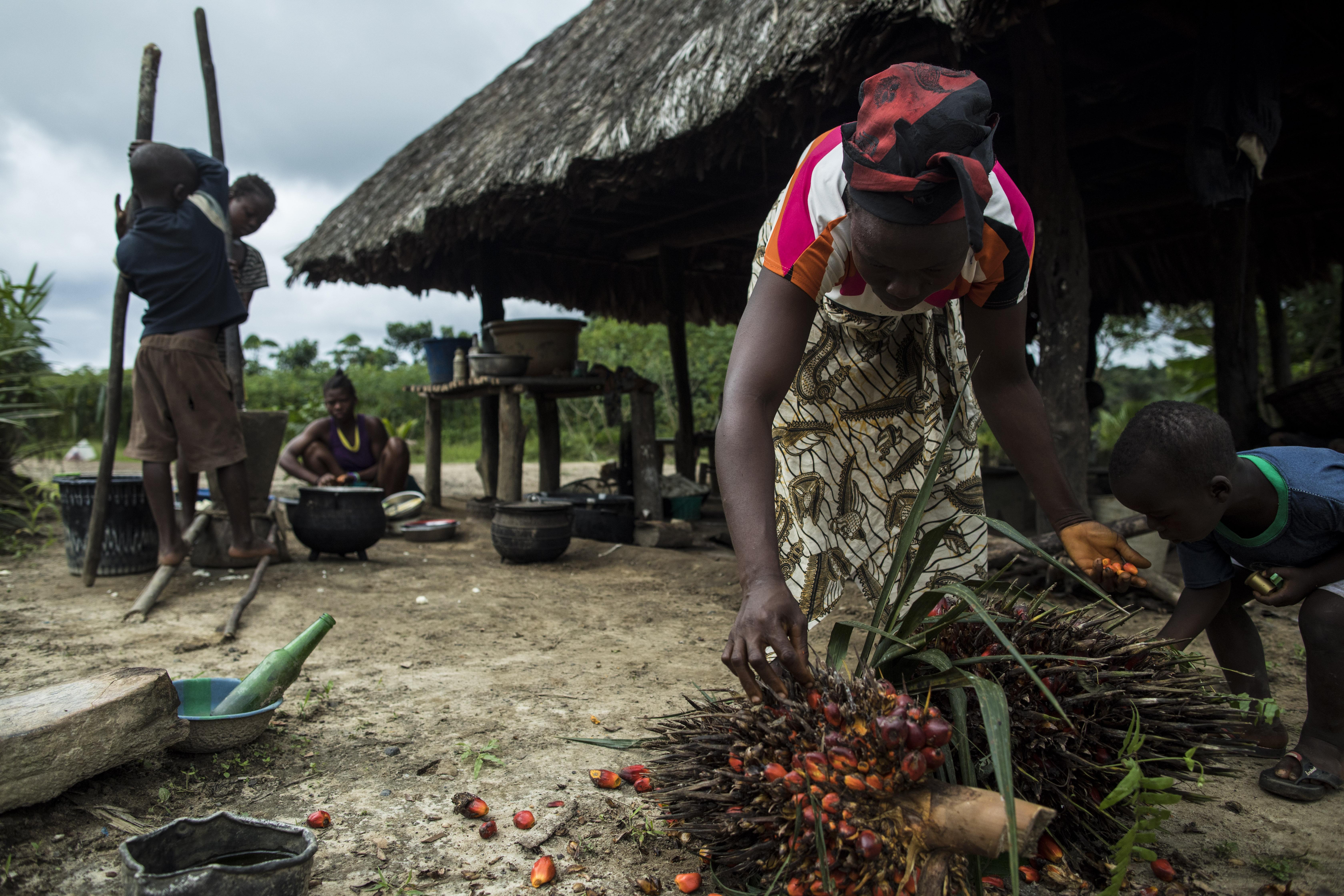 Food From This Soil: Land Rights in Liberia