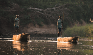 Vignette pour Communauté de pratique sur l'eau et le gouvernement ouvert