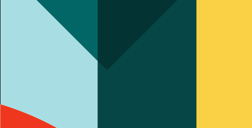 Improving Access to Justice for Individuals with Limited Decision-Making Capacity in Ireland