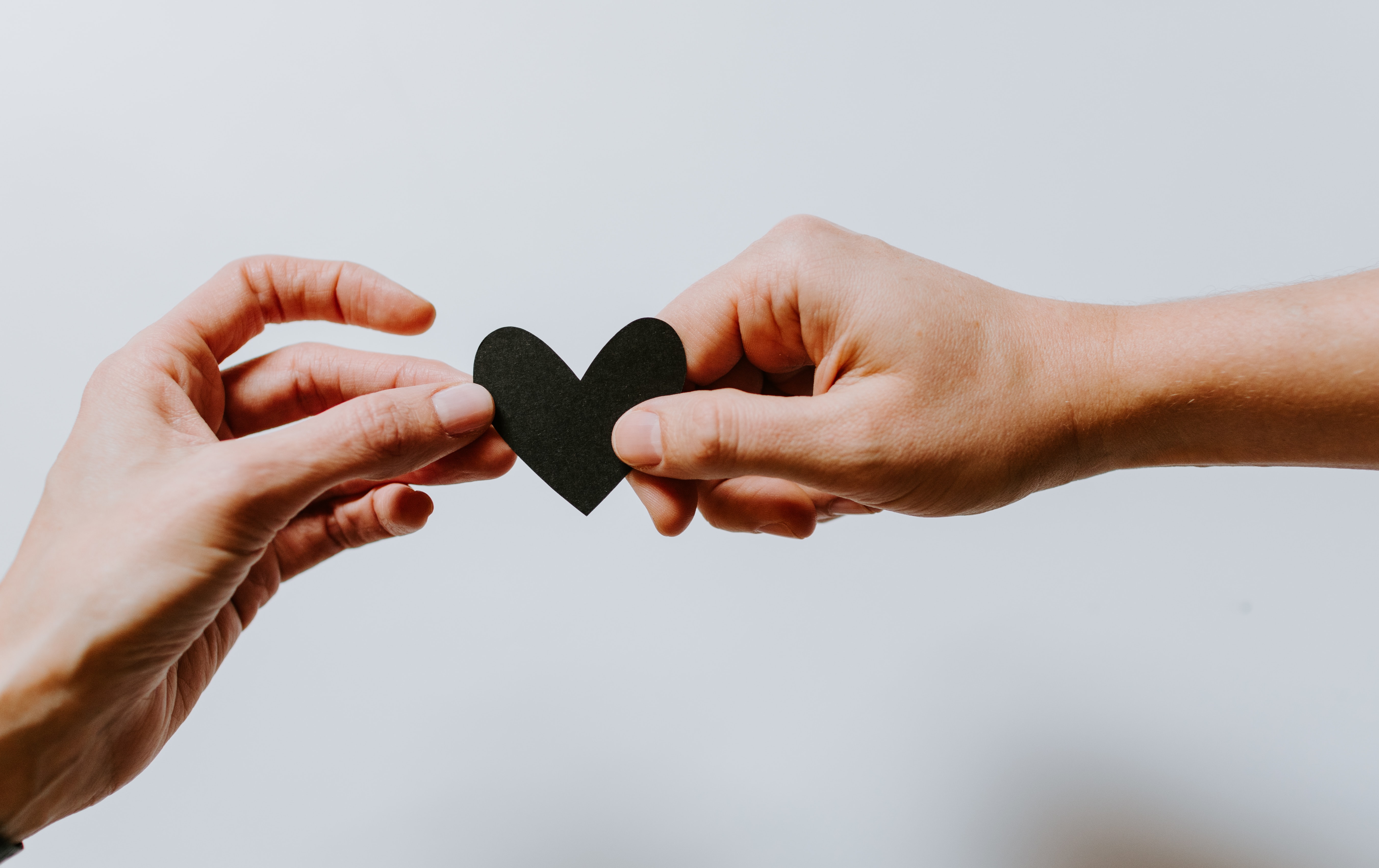 An Open Government Antidote to COVID-19