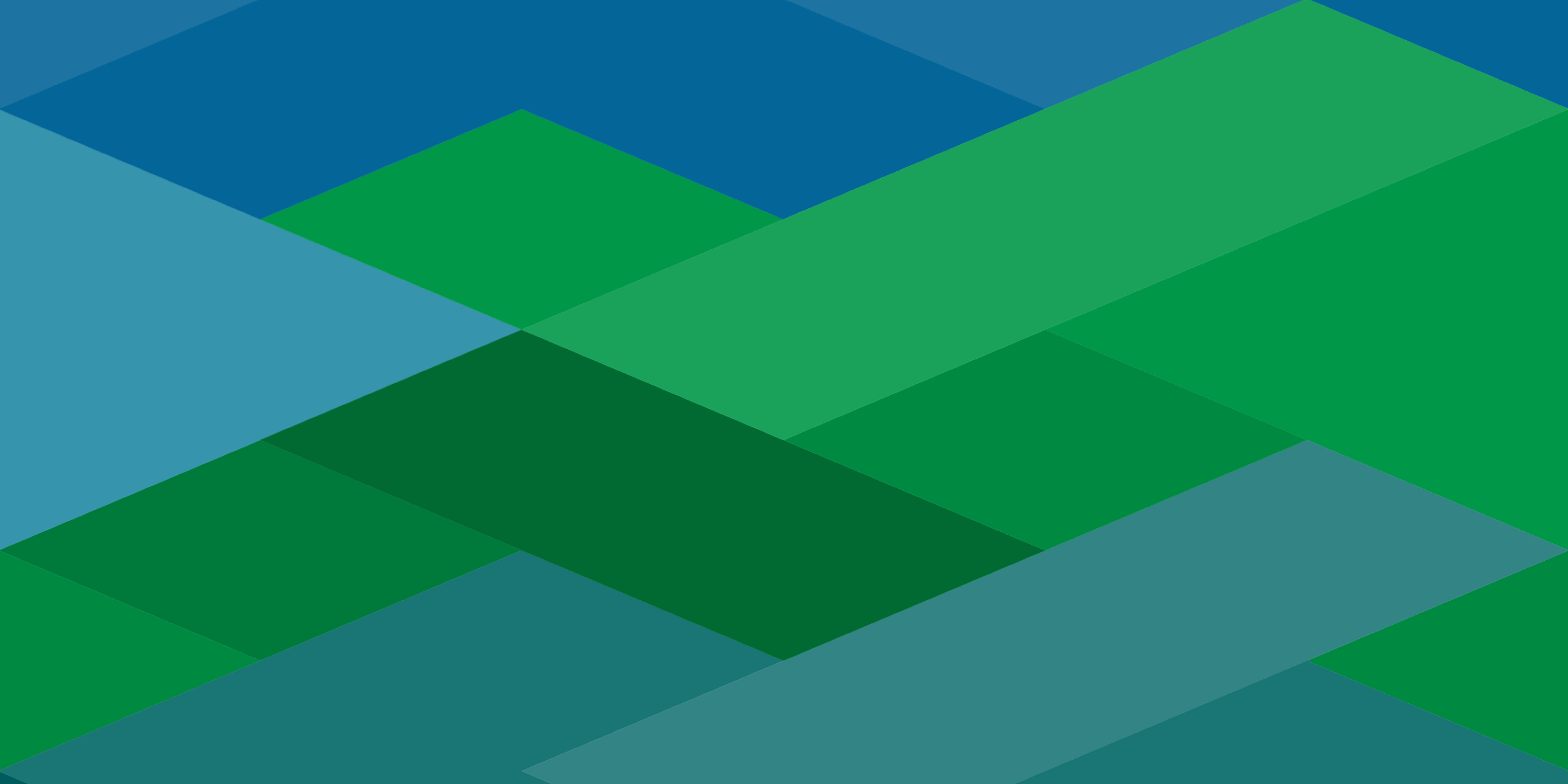 Featured Commitment: Judicial Observatory
