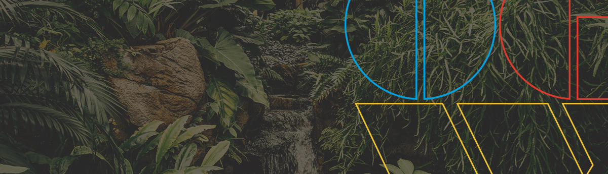 Escazu Agreement: Opportunities for an Environmental Open Government