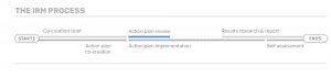 Guía de IRM: revisión del plan de acción (gráfico)