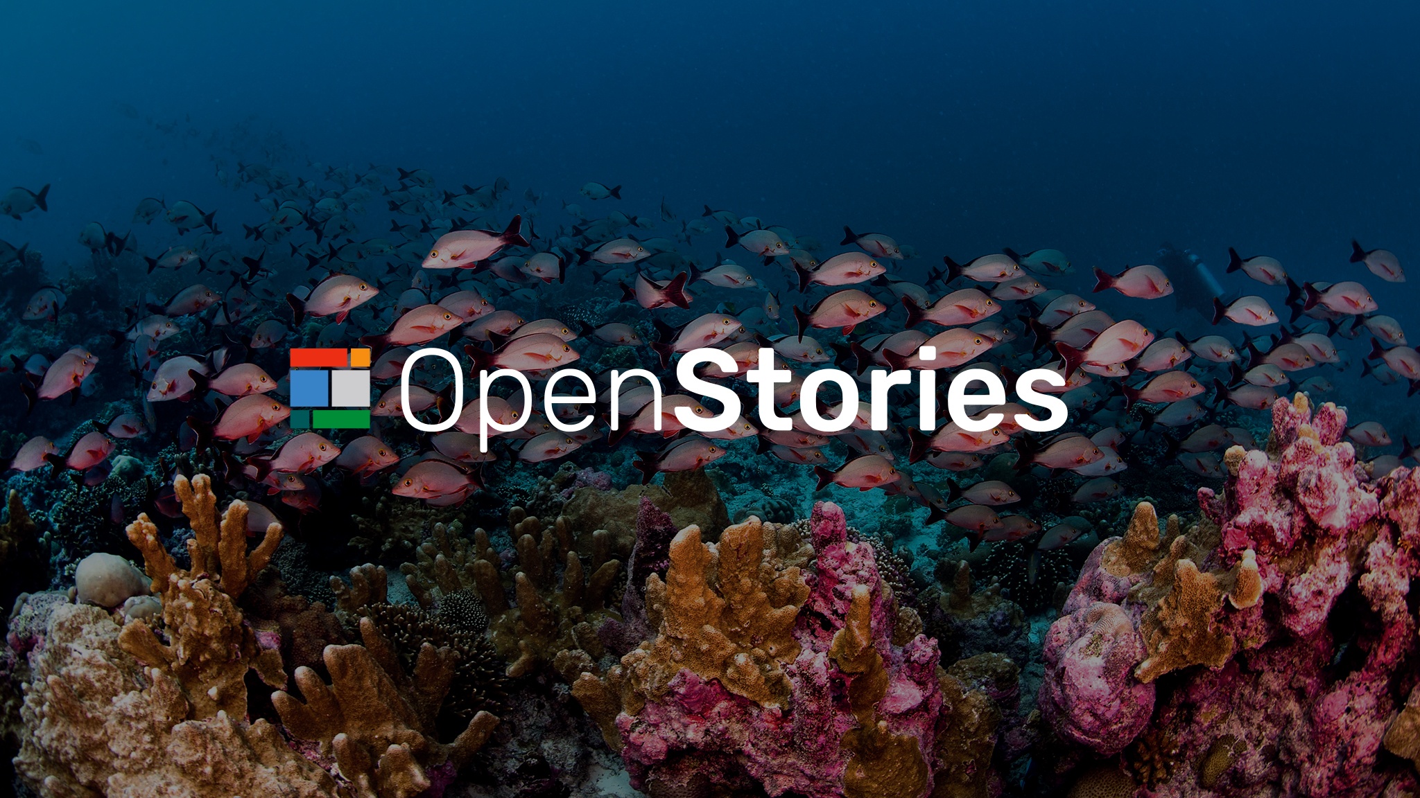 Leading the Way For a More Transparent and Sustainable Fishing Economy