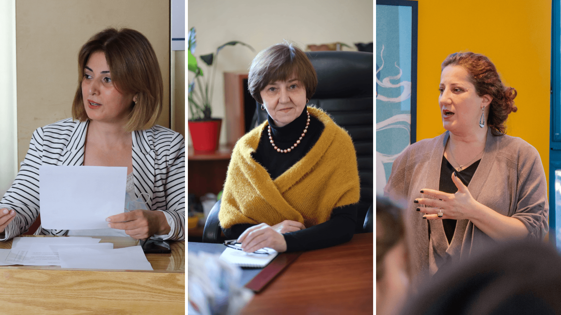 Faces of Open Government: Local Reformers in the Eastern Partnership