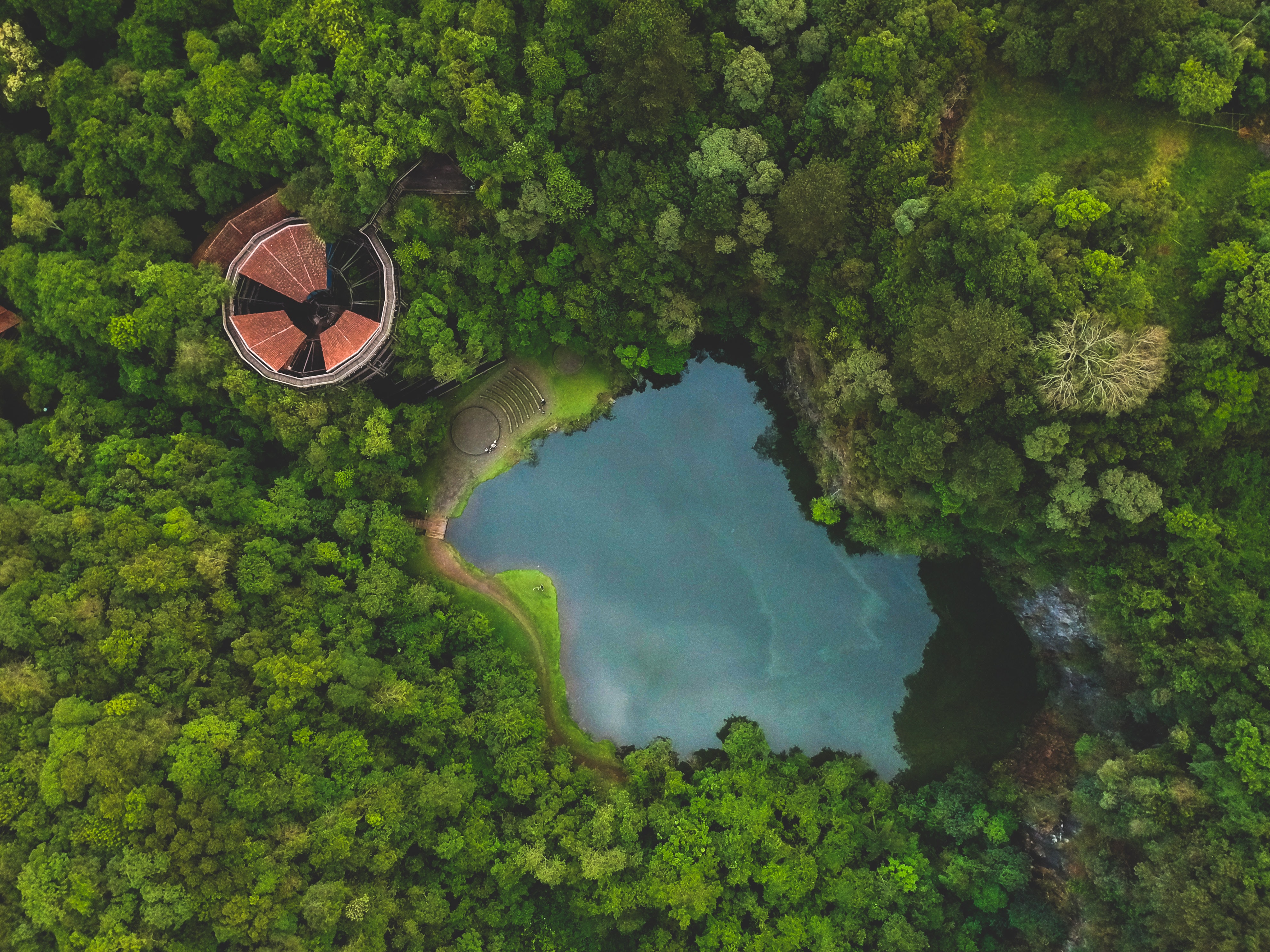 Brazil Invests in Open Government to Tackle Environmental Challenges
