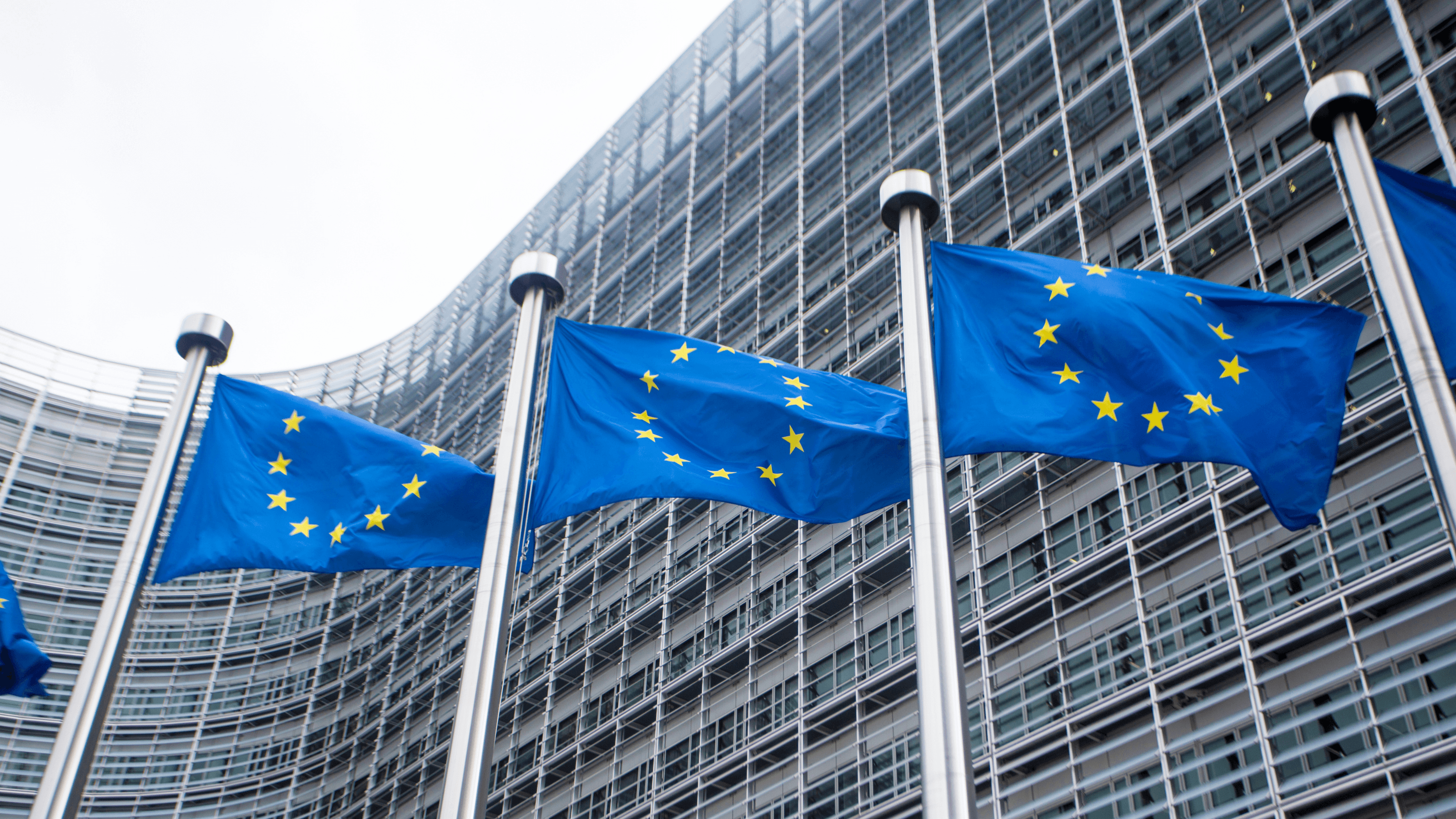 Leveraging OGP Action Plans to Meet EU Membership Requirements