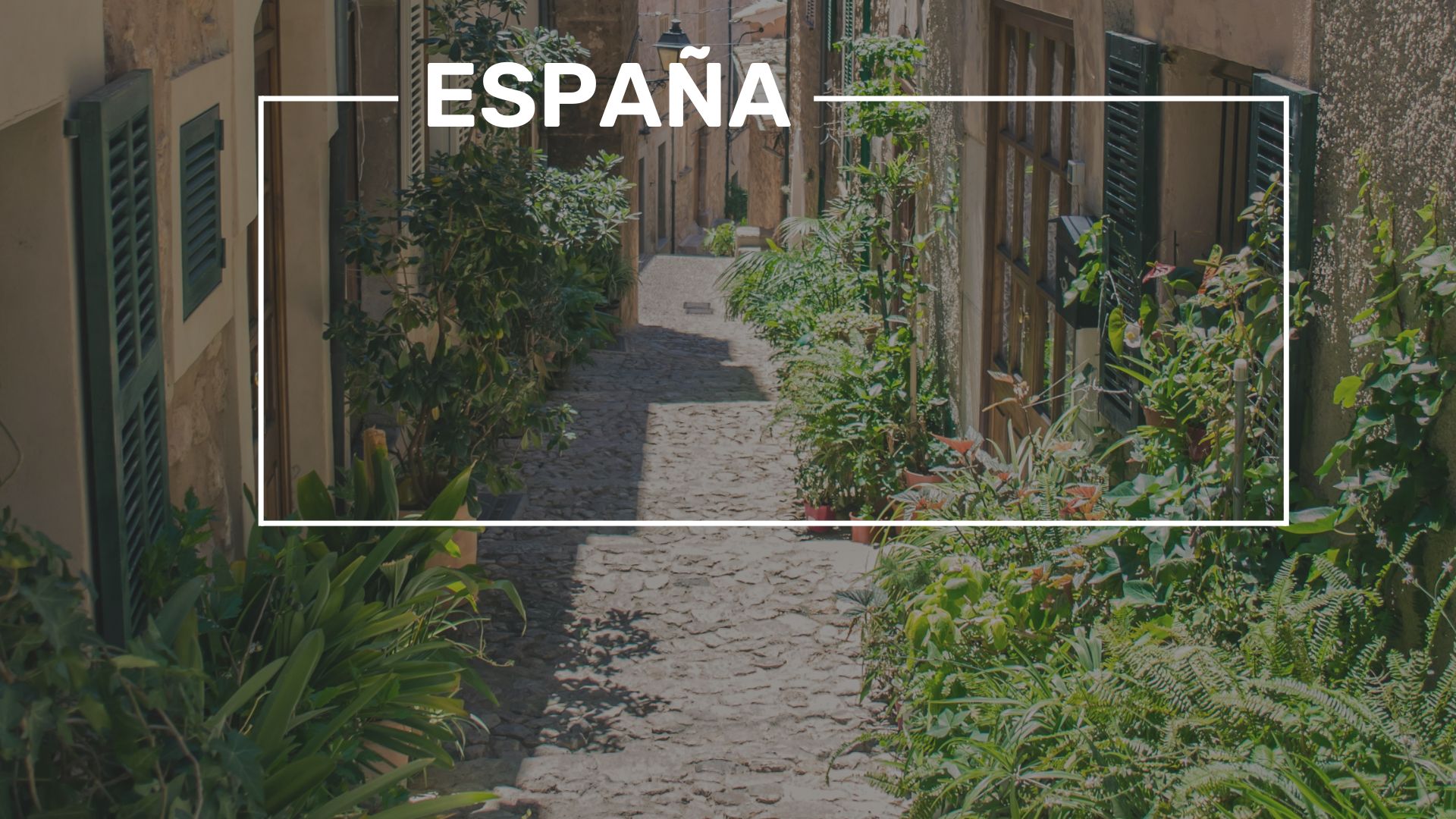 Trayectoria de Gobierno Abierto en España 2025